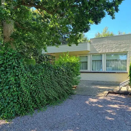 Zeebries De Koog (Texel)