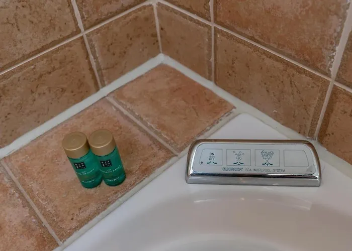 Zeebries De Koog (Texel)